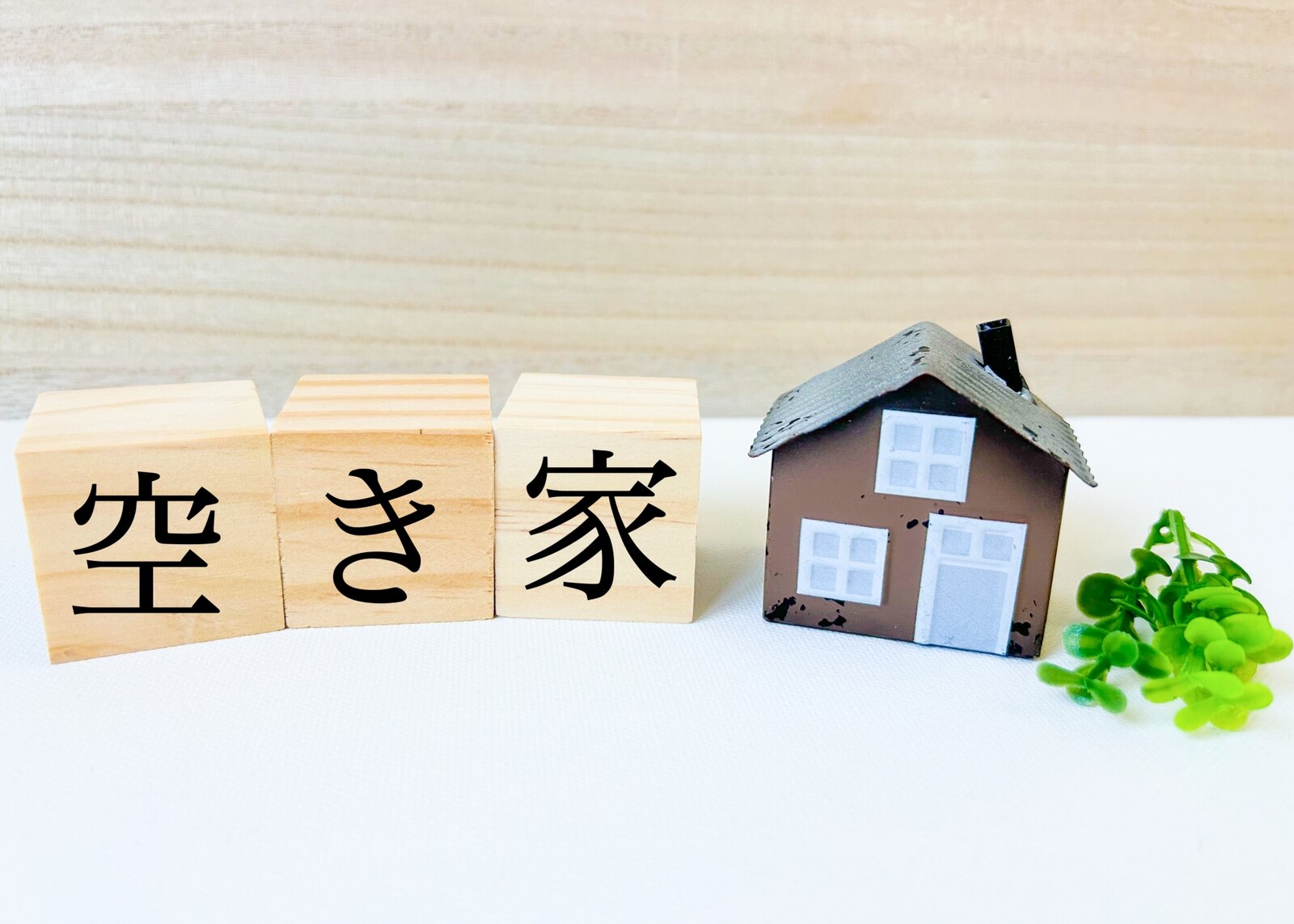Nagahama Tenant