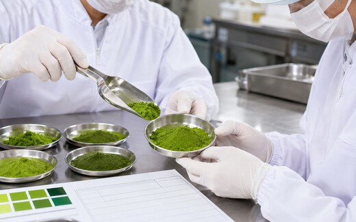 Japanese powdered tea quality coordination