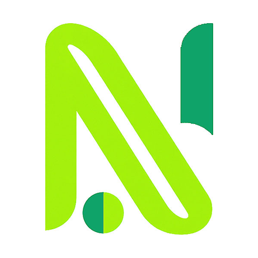 NORIKY HOLDINGS logo mark