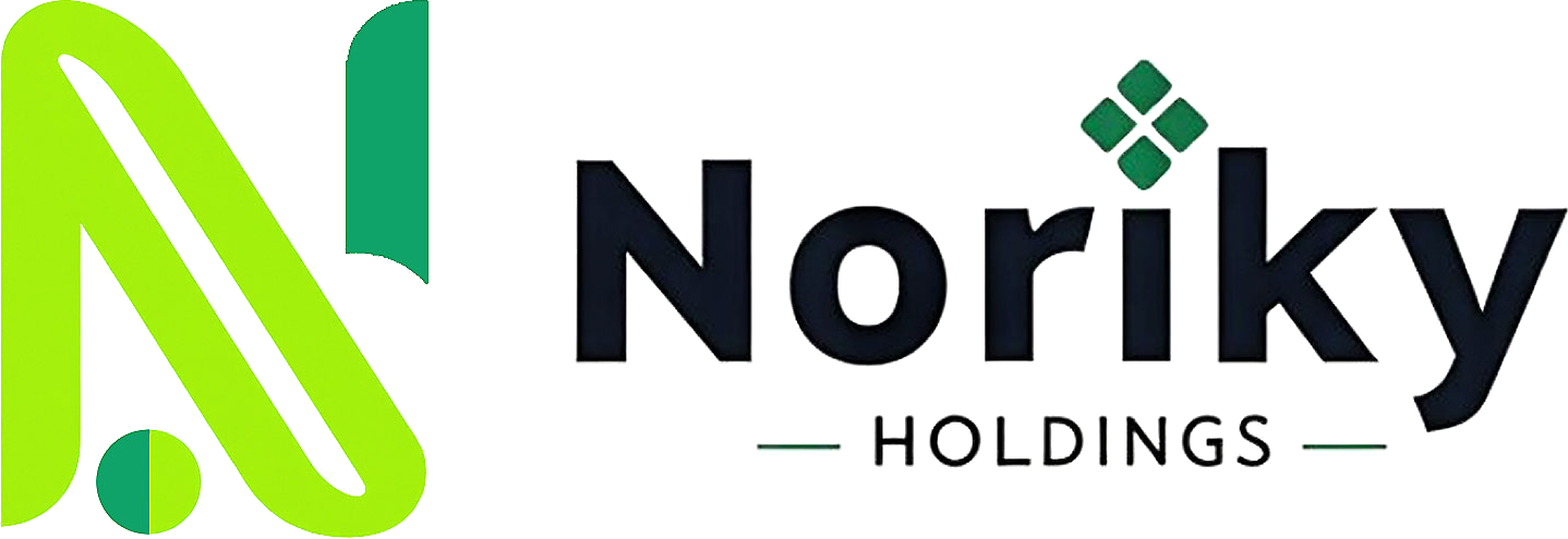 NORIKY HOLDINGS logo